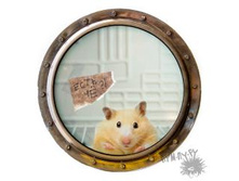 ������ ���� � ������������ \"���� ��?\" 156�