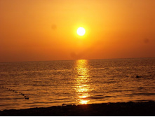 ����� ������ "�������"....