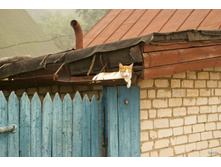 ���������� �����