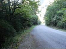 ���-�� �� ������ �� ����