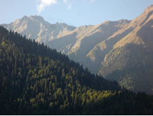 ��� ������ �����