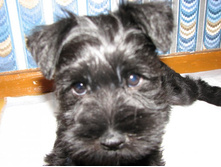 ������ 058.JPG