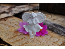 DSC_0901 (1024x680).jpg