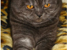 ���� ����.JPG