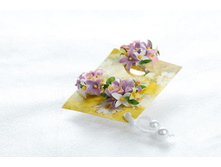 ����� ����� - �������!