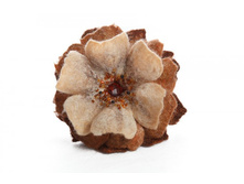 �������� - �������!