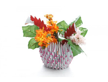 ���������� - �������!