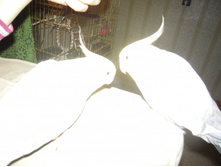 19.02.2009 15:46:24