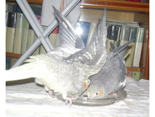 19.02.2009 15:52:00