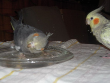 19.02.2009 15:52:51