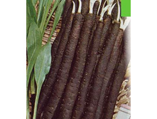 ��������� �������� 6,50���..jpg