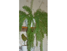 ���������� �� ������