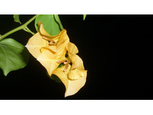 ����  ��� ���� �� ������