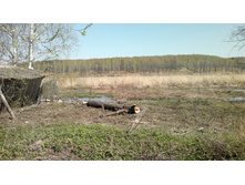 26042012260.jpg