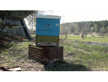 26042012264.jpg