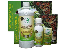 ������ ��1.jpg