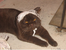 ����������