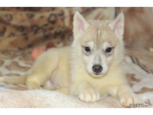 ������ 1