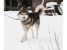 ���� ������ ���.