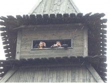 09.09.2010 1:57:49