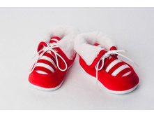 ������� ���� ���. 113