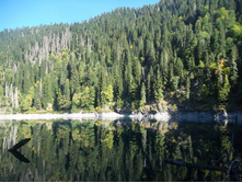 �� ����� ����..... ������� �����������. ������� 160 ������