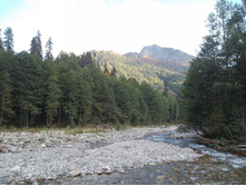 ��������� �� ������� ���������! ����� �� 1800 ��� �.�.