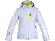 ������ ���. 100% ���������