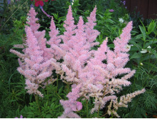 �������� ������� �������, �� 80 �.