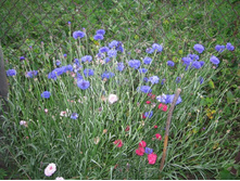 ������� ����������