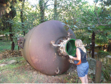 ����� �������