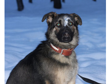 ���� ���� ���� ���������� ����������