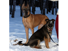 ����� � ������ ����