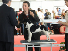 ����������� 003.jpg