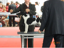 ����������� 004.jpg