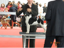 ����������� 005.jpg