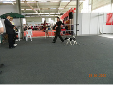 ����������� 007.jpg