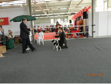 ����������� 008.jpg