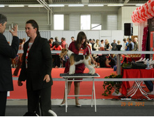 ����������� 009.jpg