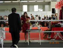 ����������� 010.jpg