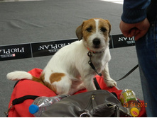 ����������� 011.jpg