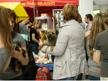 ����������� 012.jpg