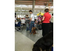 ����������� 013.jpg