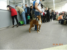 ����������� 014.jpg