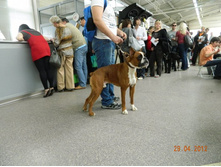 ����������� 015.jpg