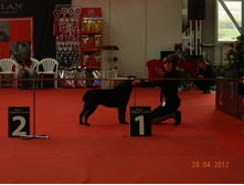 ����������� 016.jpg