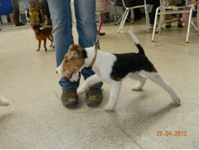 ����������� 017.jpg