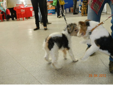 ����������� 019.jpg