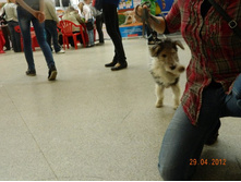 ����������� 020.jpg