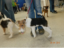 ����������� 021.jpg